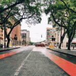 red car on road near trees during daytime